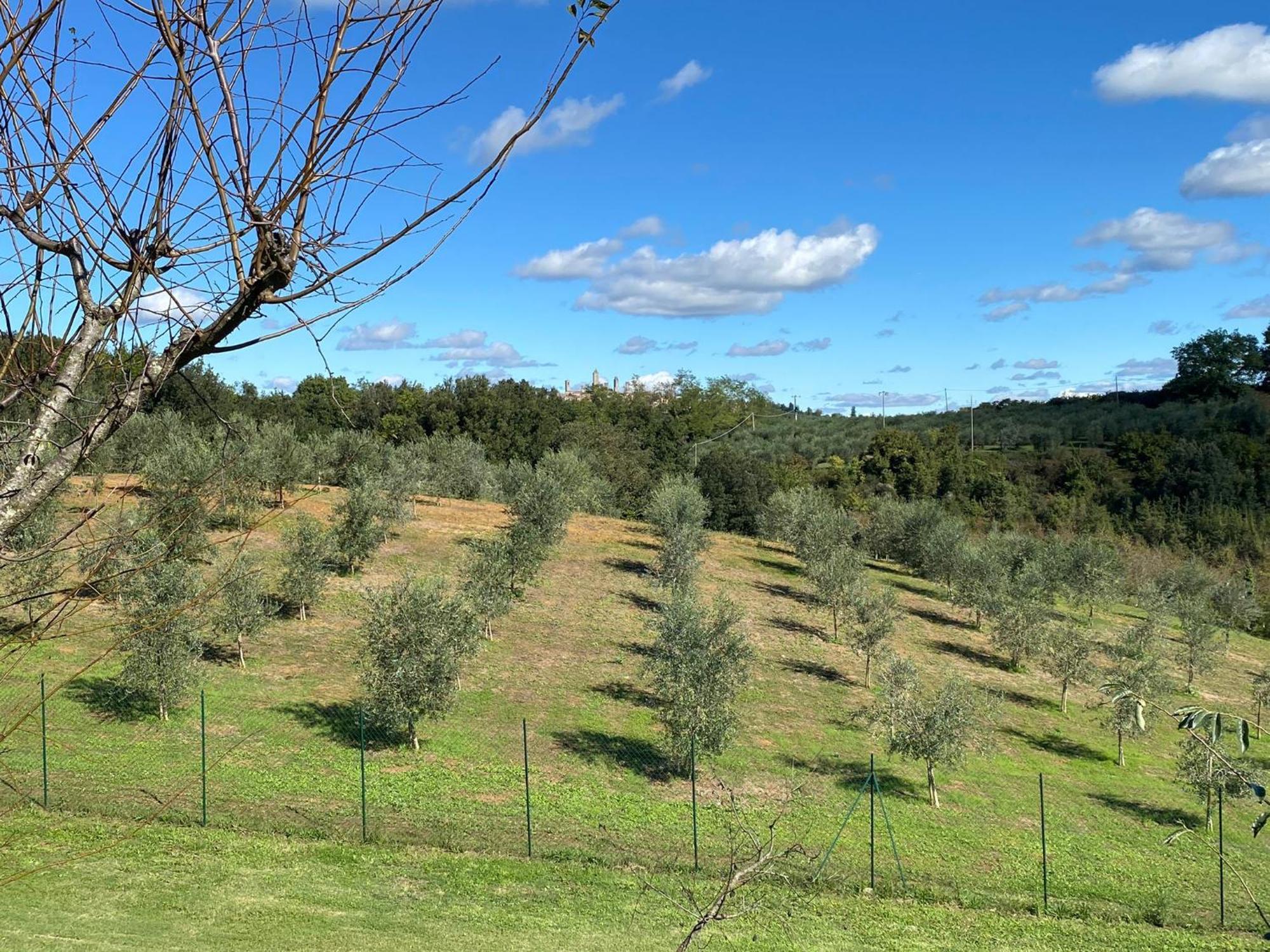 Podere Casanuova San Gimignano Luaran gambar