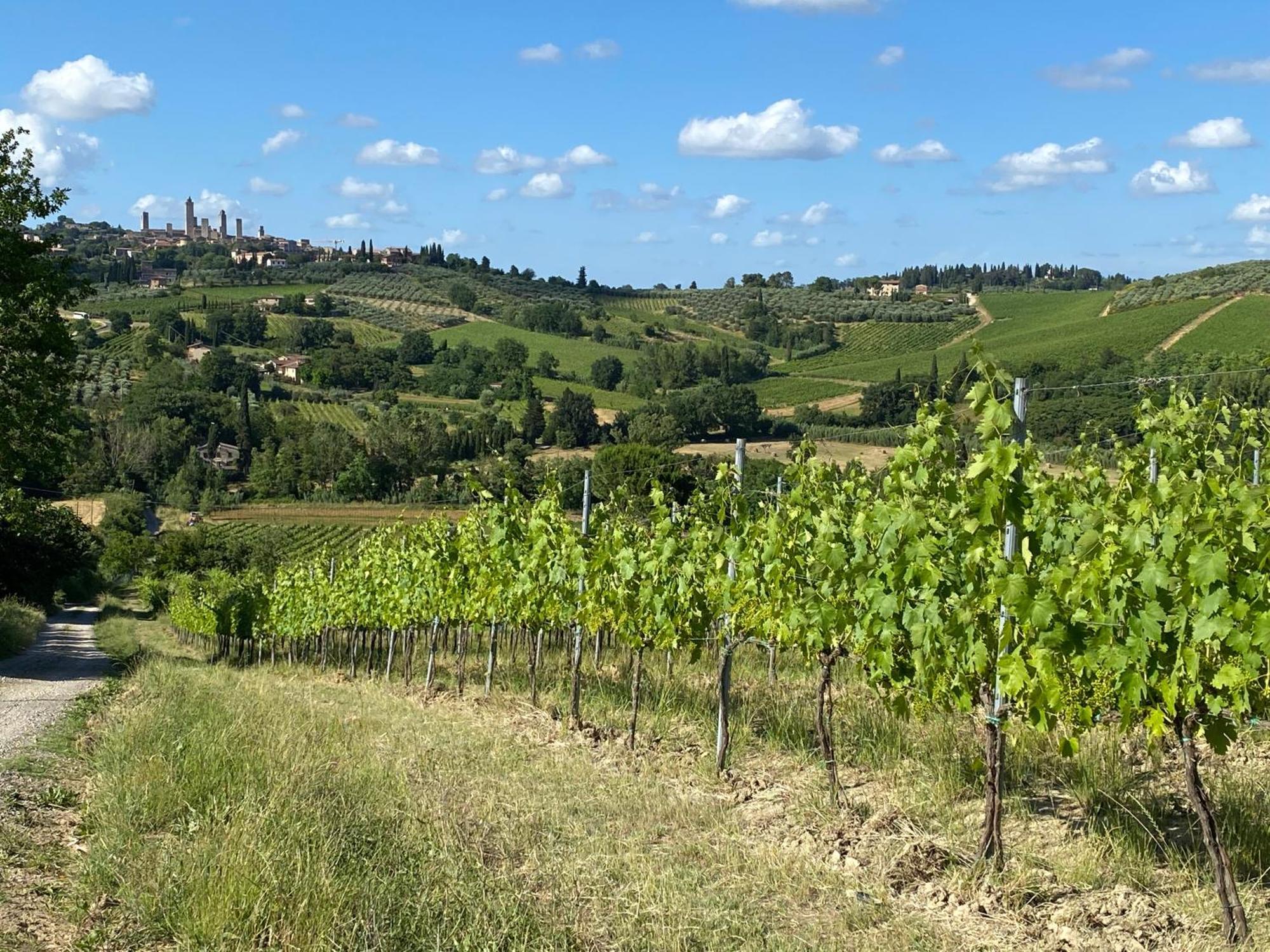 Podere Casanuova San Gimignano Luaran gambar