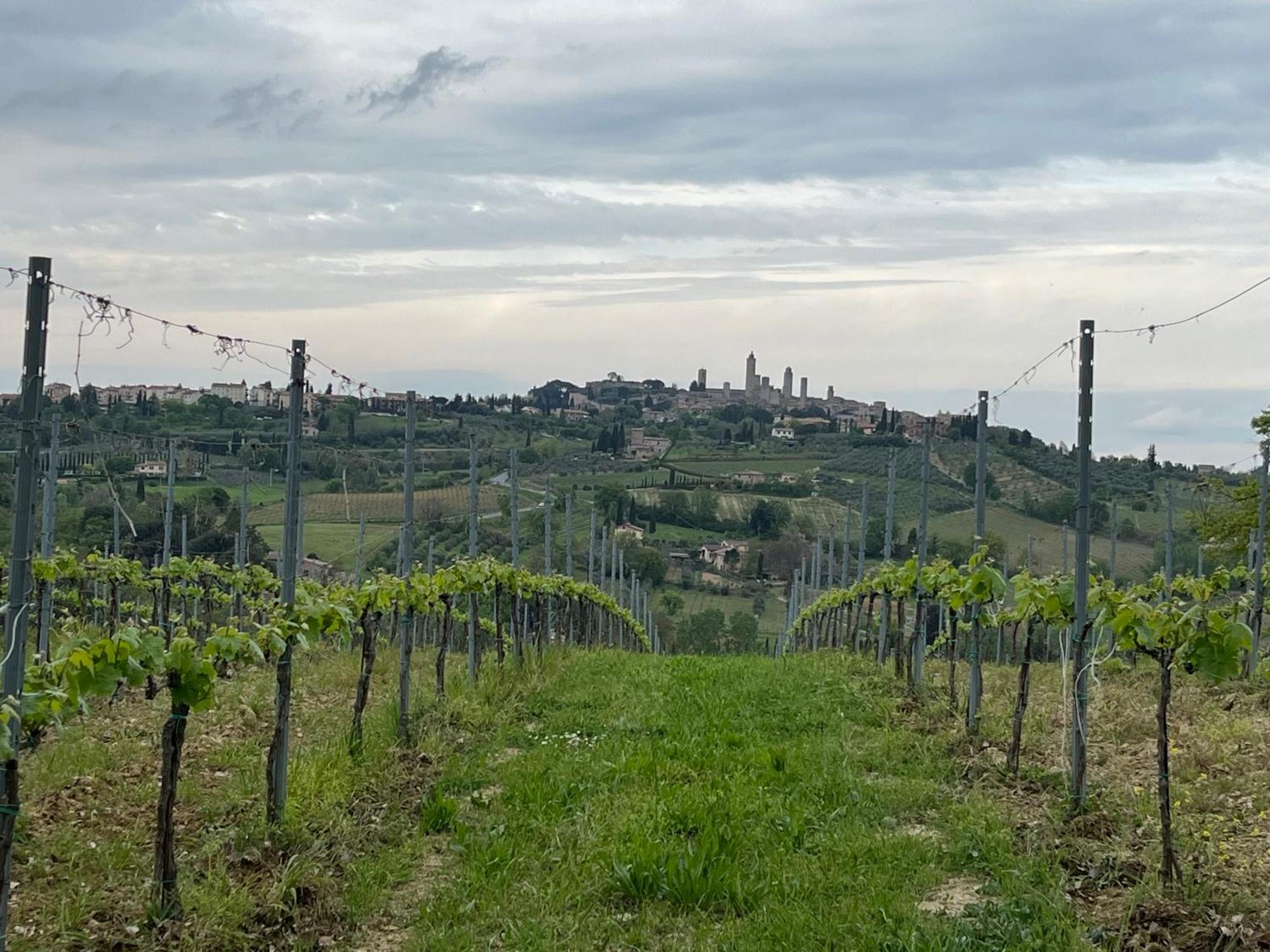 Podere Casanuova San Gimignano Luaran gambar