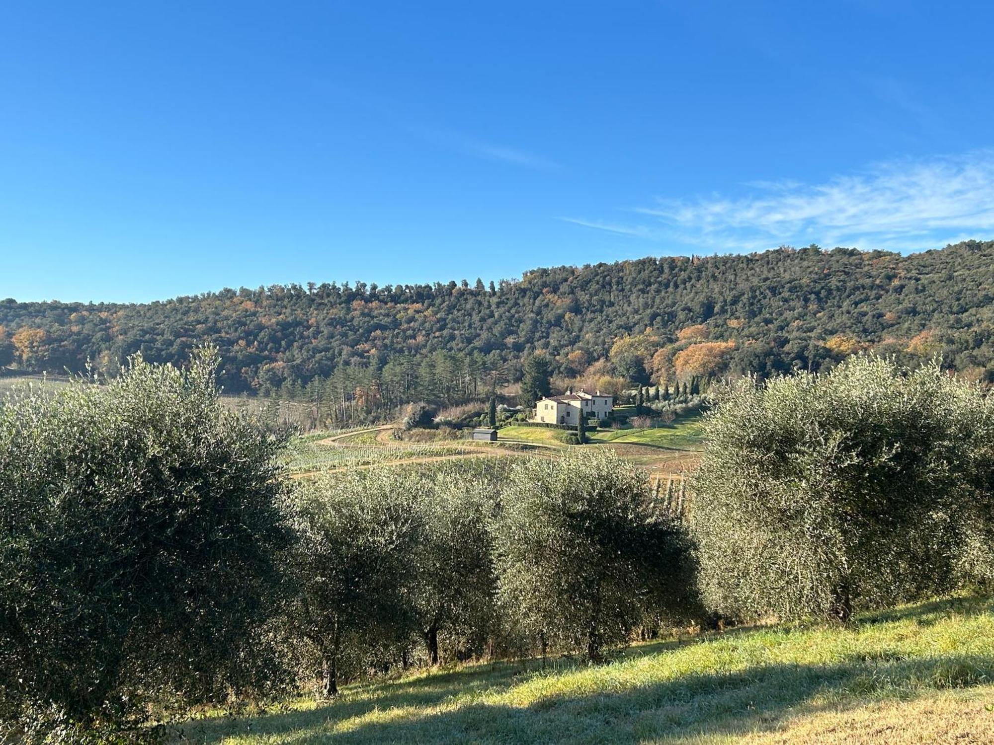 Podere Casanuova San Gimignano Luaran gambar